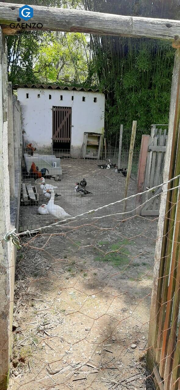 Fazenda à venda com 4 quartos, 17500m² - Foto 22