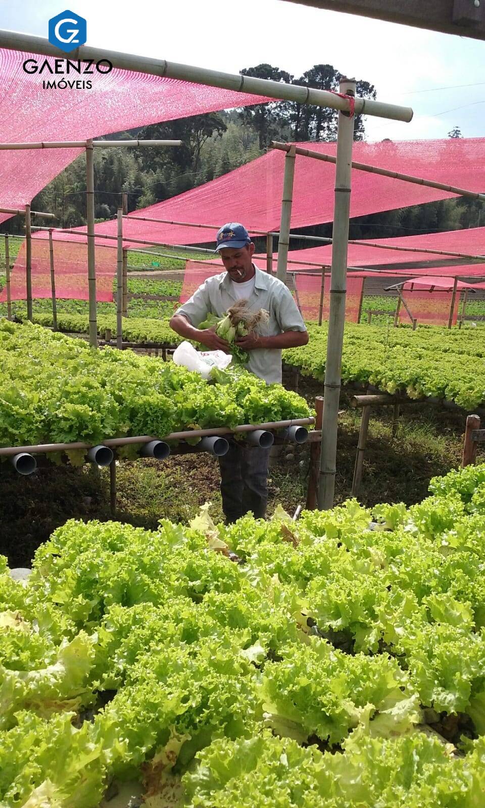 Terreno à venda, 150000m² - Foto 2