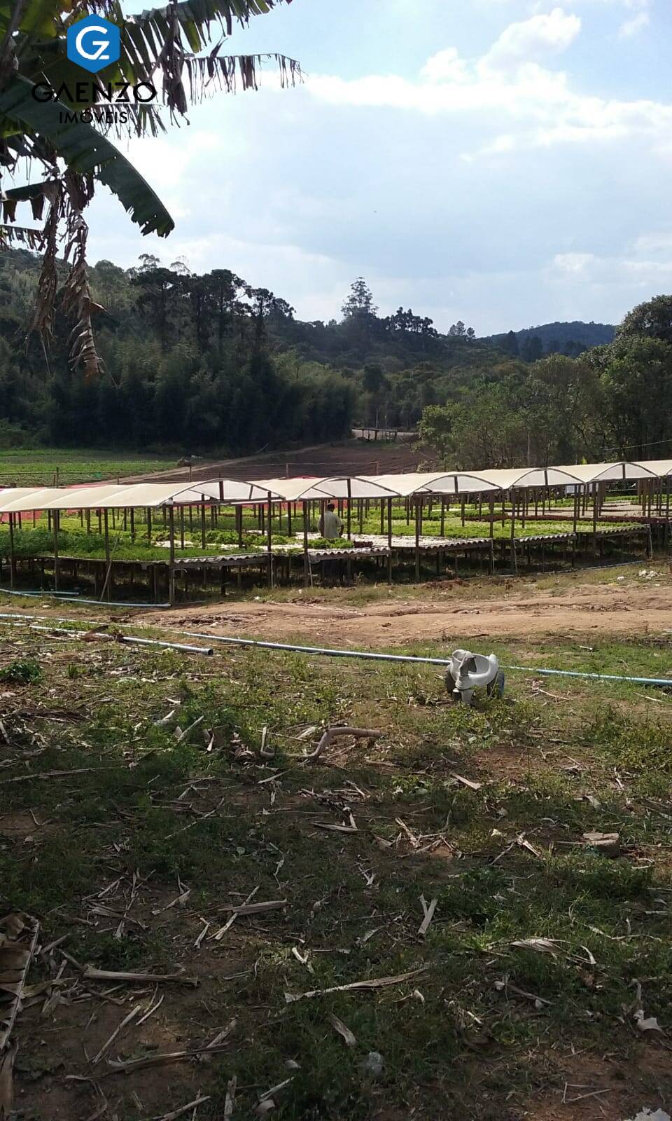 Terreno à venda, 150000m² - Foto 4