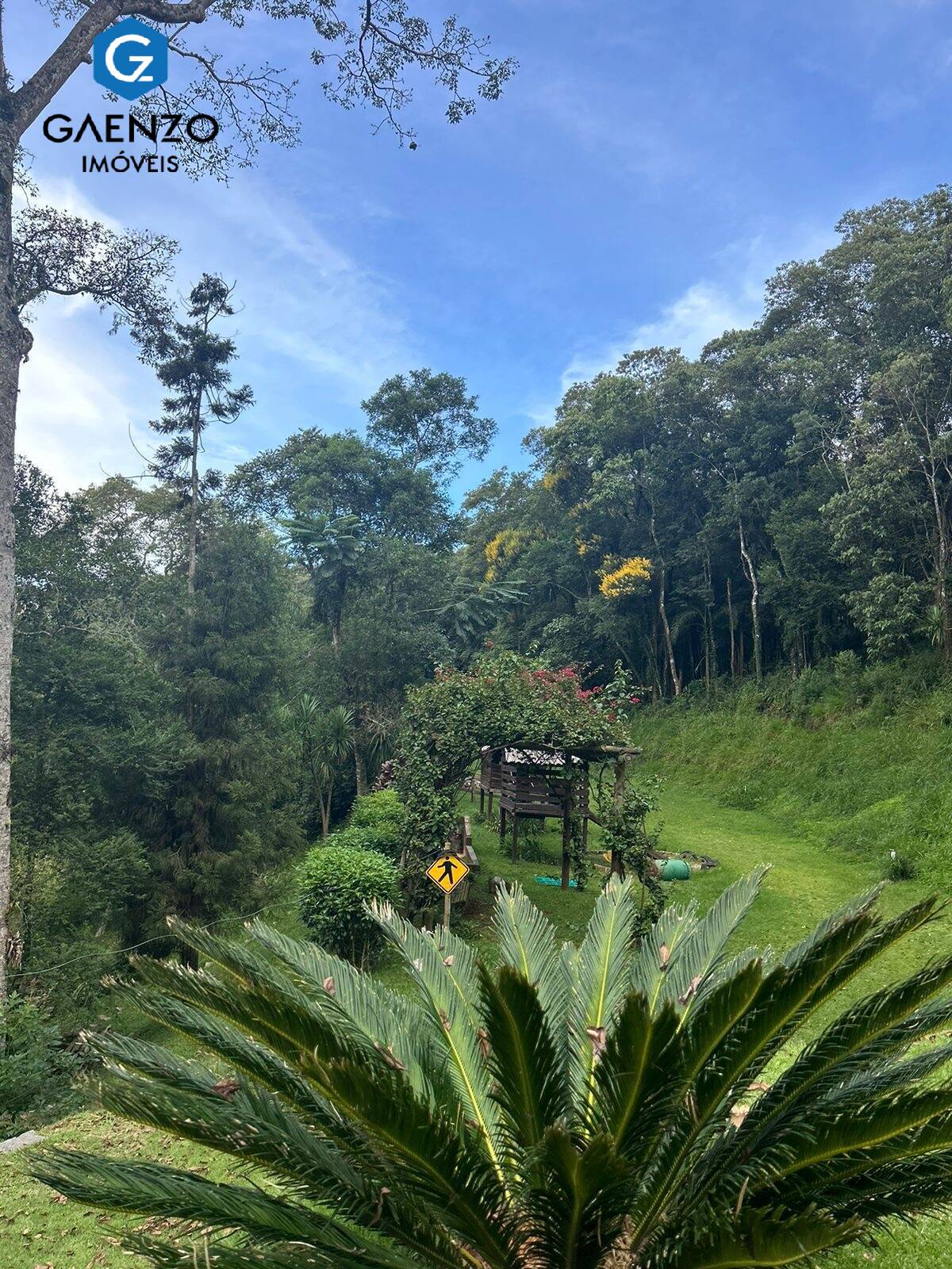 Fazenda à venda com 3 quartos, 56000m² - Foto 9