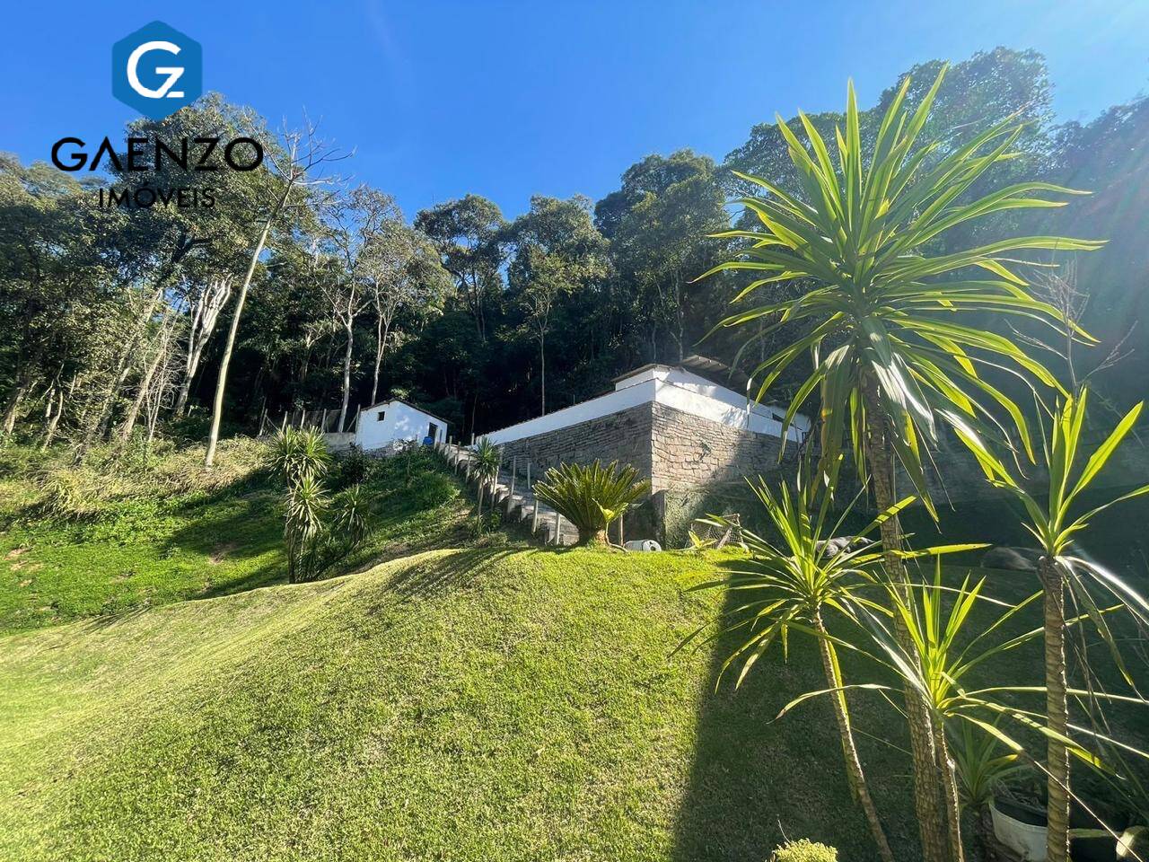 Fazenda à venda com 3 quartos, 56000m² - Foto 12